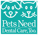 Pets Need Dental Care Too